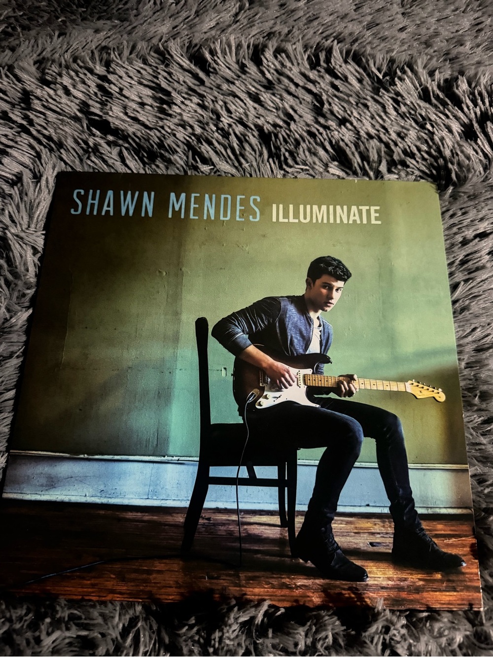 Shawn Mendes Illuminate Vinyl